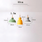 Brinley Pendant Lights Collection | Mennts