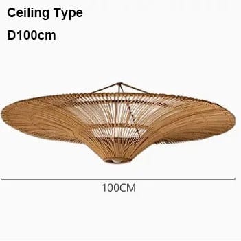 Liora Rattan Chandelier | Mennts